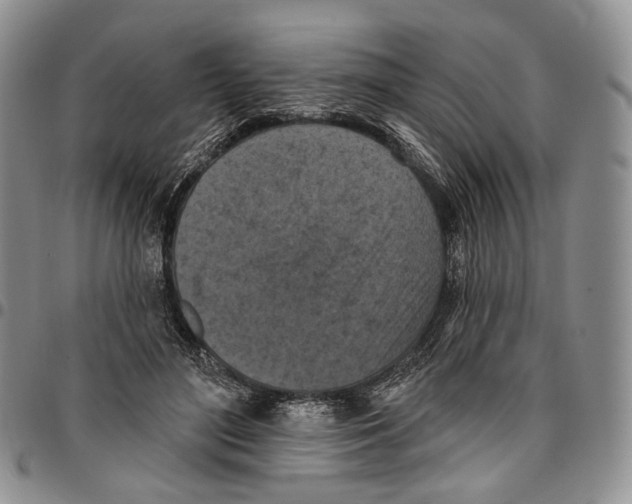 X0000096680500200803041243