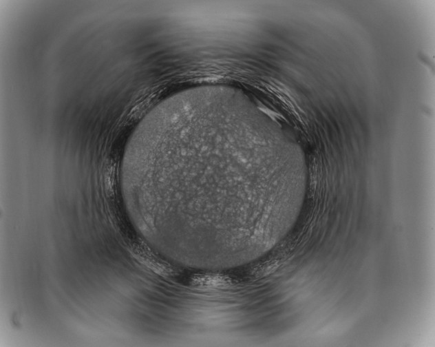 X0000096680503200803041243