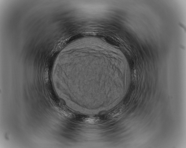 X0000096680504200803041243