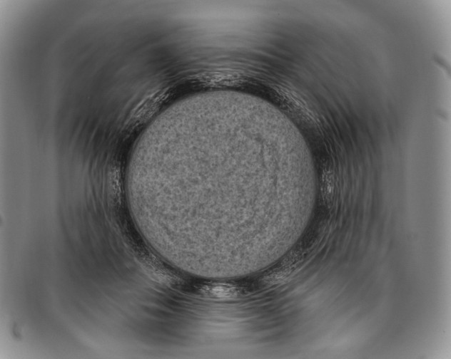 X0000096680506200803041243