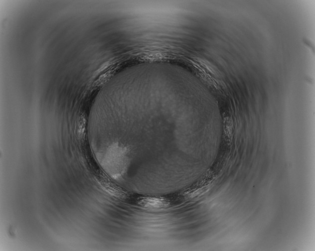 X0000096680507200803041243