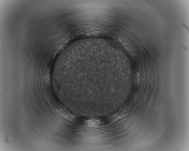 X0000096680508200803041243
