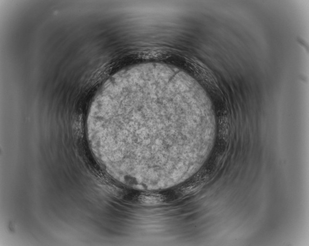 X0000096680510200803041243