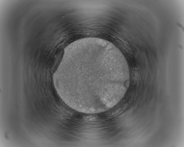 X0000096680511200803041243