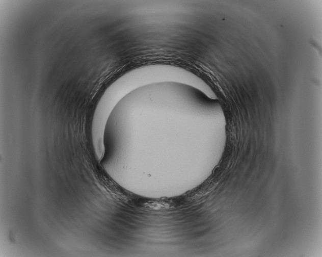 X0000096680512200803041243