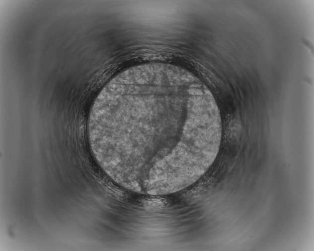 X0000096680513200803041243