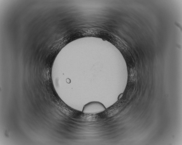 X0000096680514200803041243