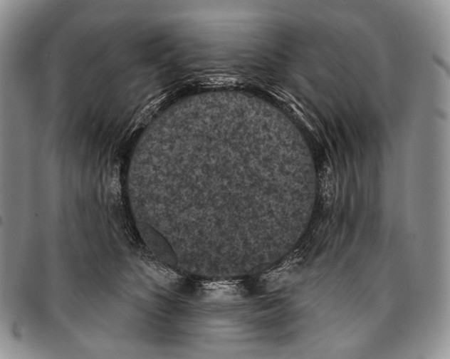 X0000096680516200803041243