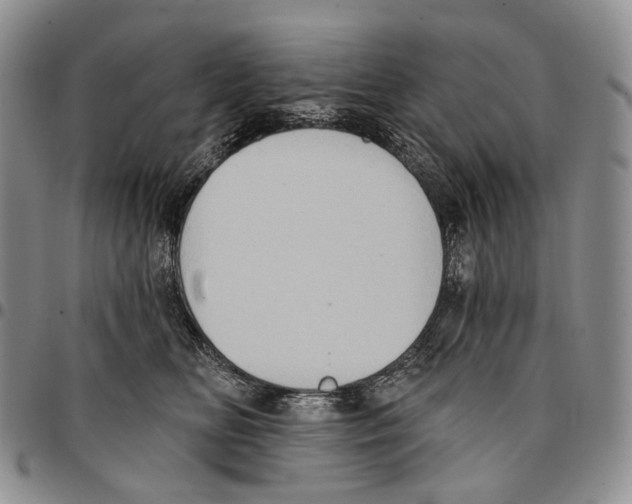 X0000096680518200803041243