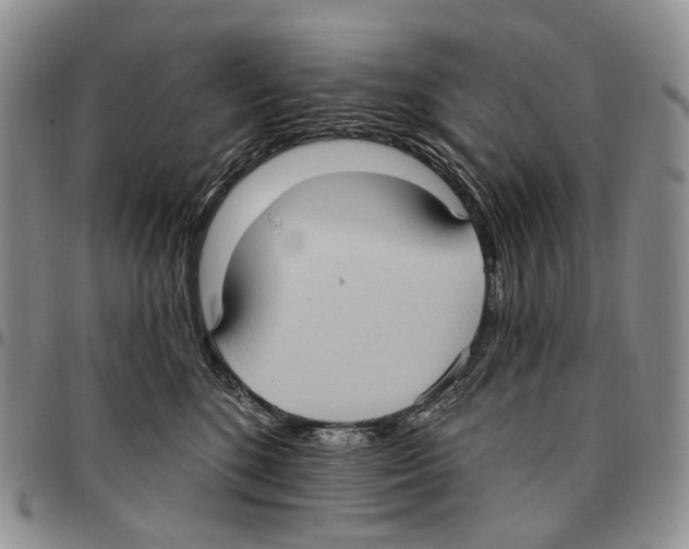 X0000096680520200803041243