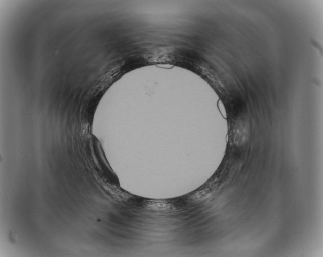 X0000096680521200803041243