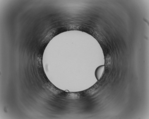 X0000096680522200803041243