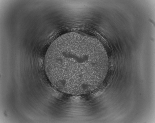 X0000096680523200803041243