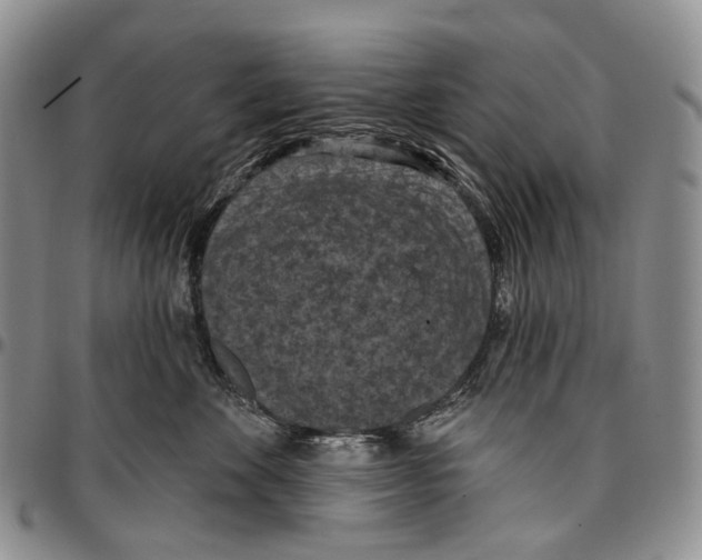 X0000096680524200803041243