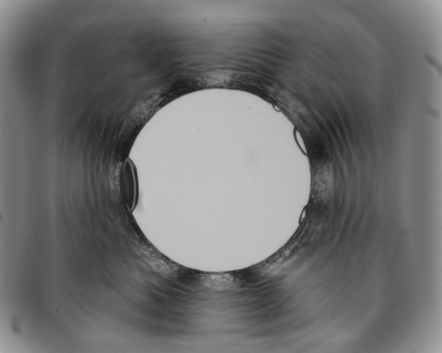 X0000096680525200803041243