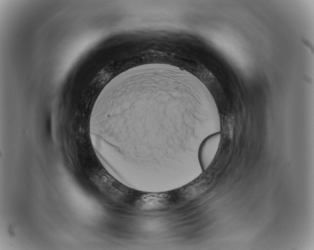 X0000096680526200803041243