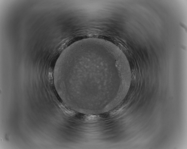 X0000096680527200803041243