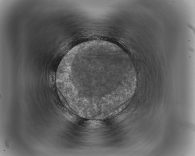 X0000096680528200803041243