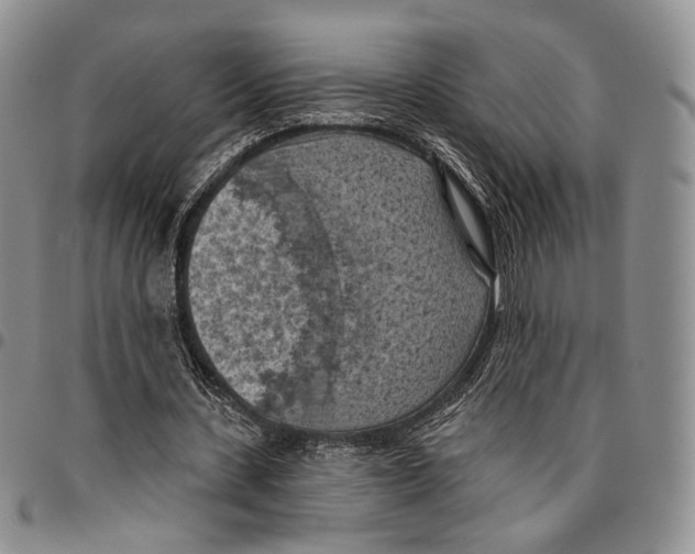 X0000096680531200803041242