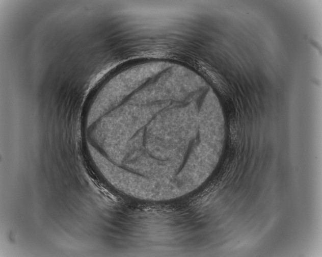 X0000096680532200803041242