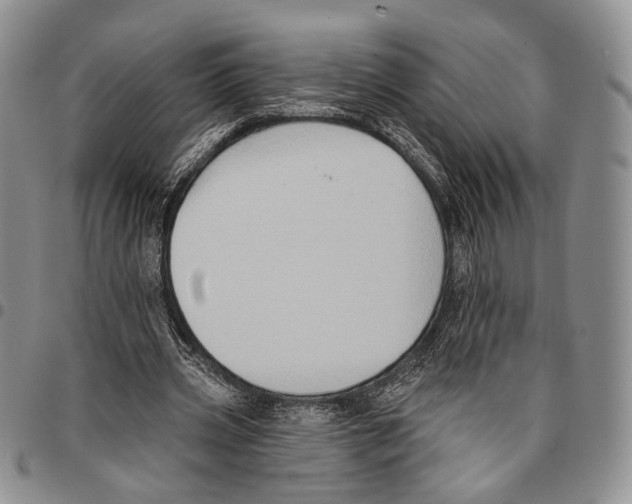 X0000096680533200803041242