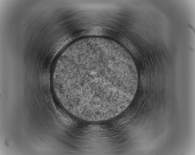X0000096680534200803041242