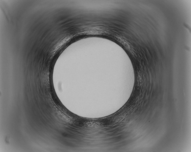 X0000096680535200803041242