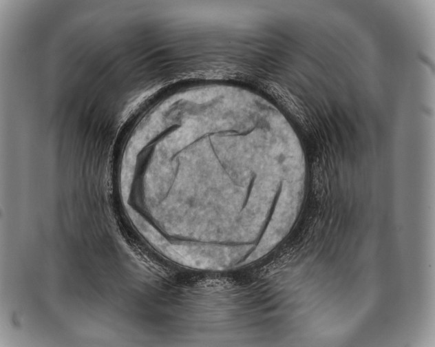 X0000096680536200803041242