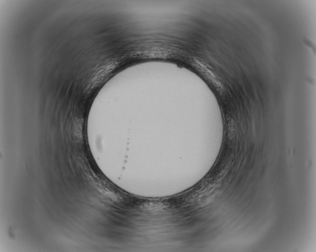 X0000096680537200803041242
