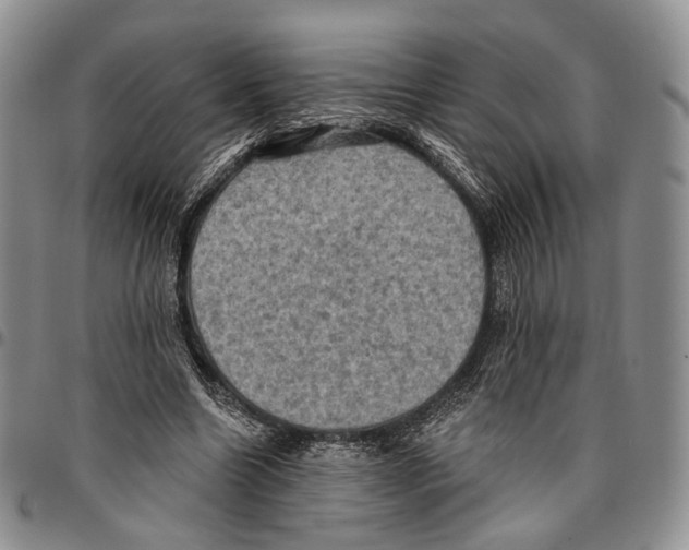 X0000096680538200803041242