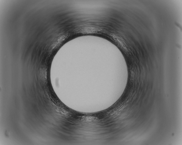 X0000096680539200803041242
