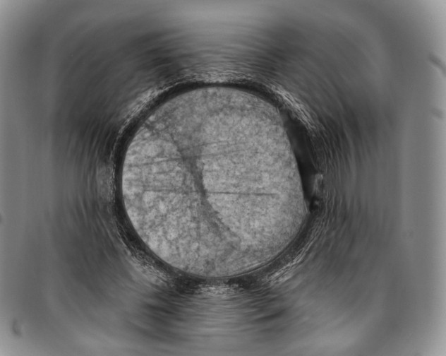 X0000096680540200803041242