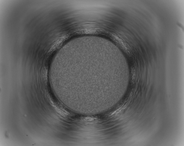 X0000096680542200803041242