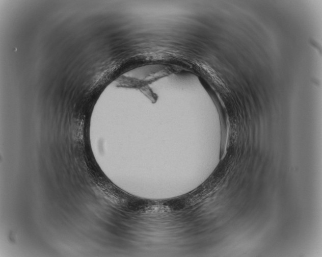 X0000096680543200803041242