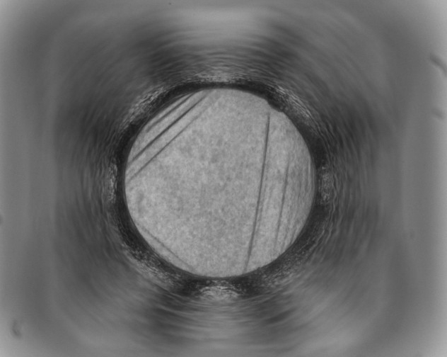 X0000096680544200803041242