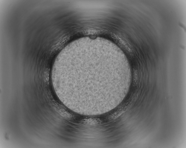 X0000096680545200803041242