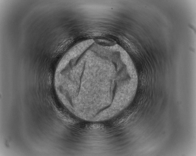 X0000096680546200803041242