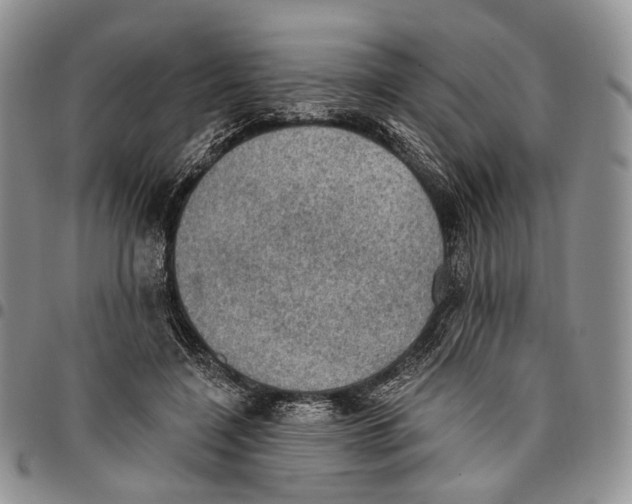 X0000096680548200803041242
