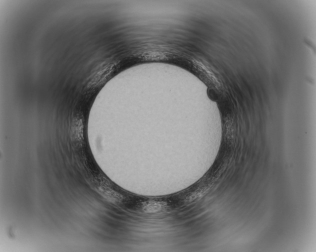 X0000096680549200803041242