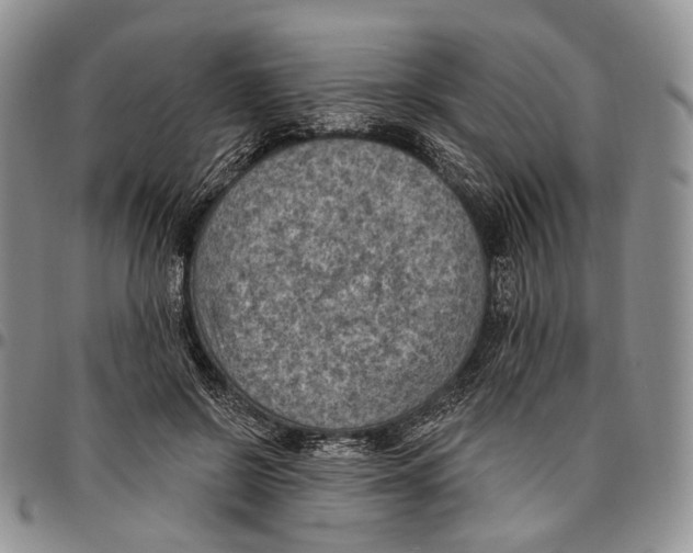 X0000096680550200803041242