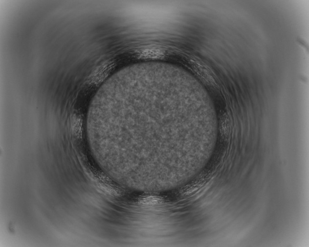 X0000096680551200803041242