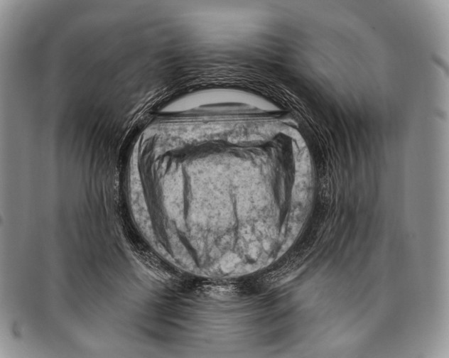 X0000096680552200803041242