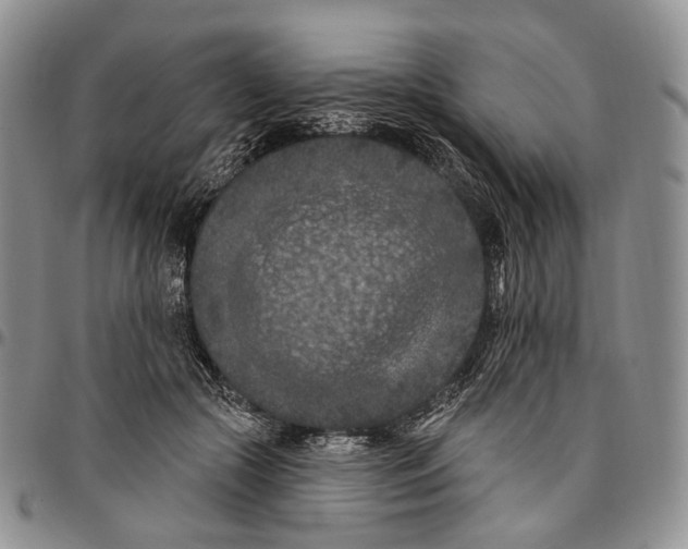 X0000096680553200803041242