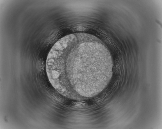 X0000096680555200803041242
