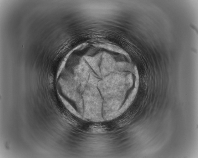 X0000096680556200803041242