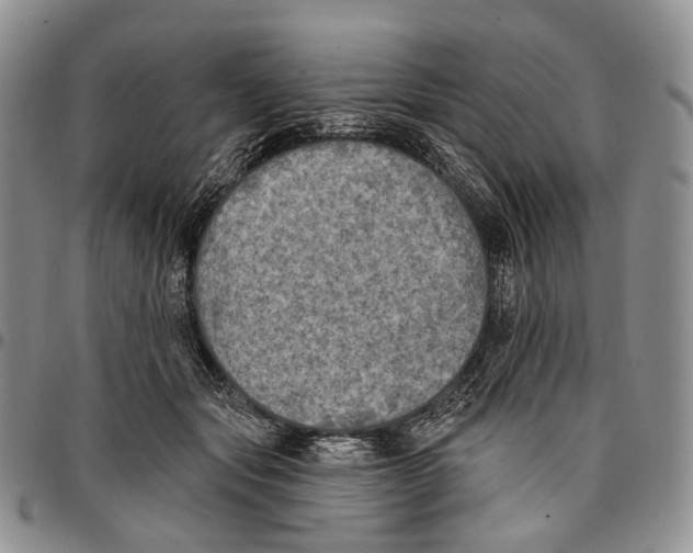 X0000096680557200803041242