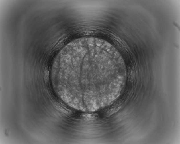 X0000096680558200803041242