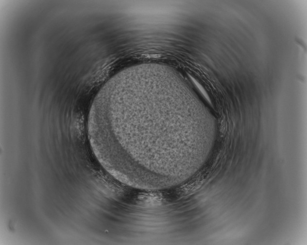 X0000096680559200803041242