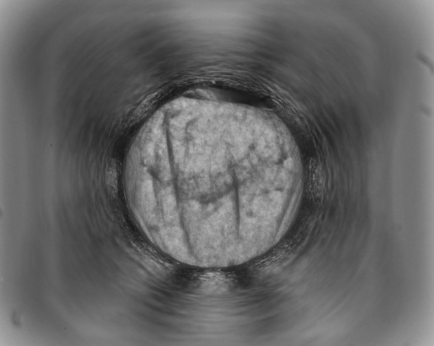 X0000096680562200803041242