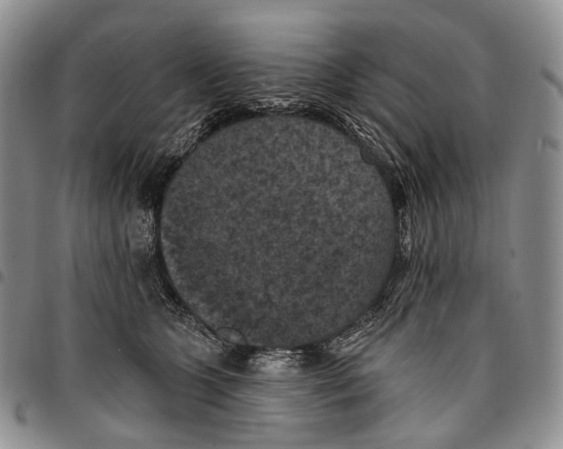 X0000096680563200803041242